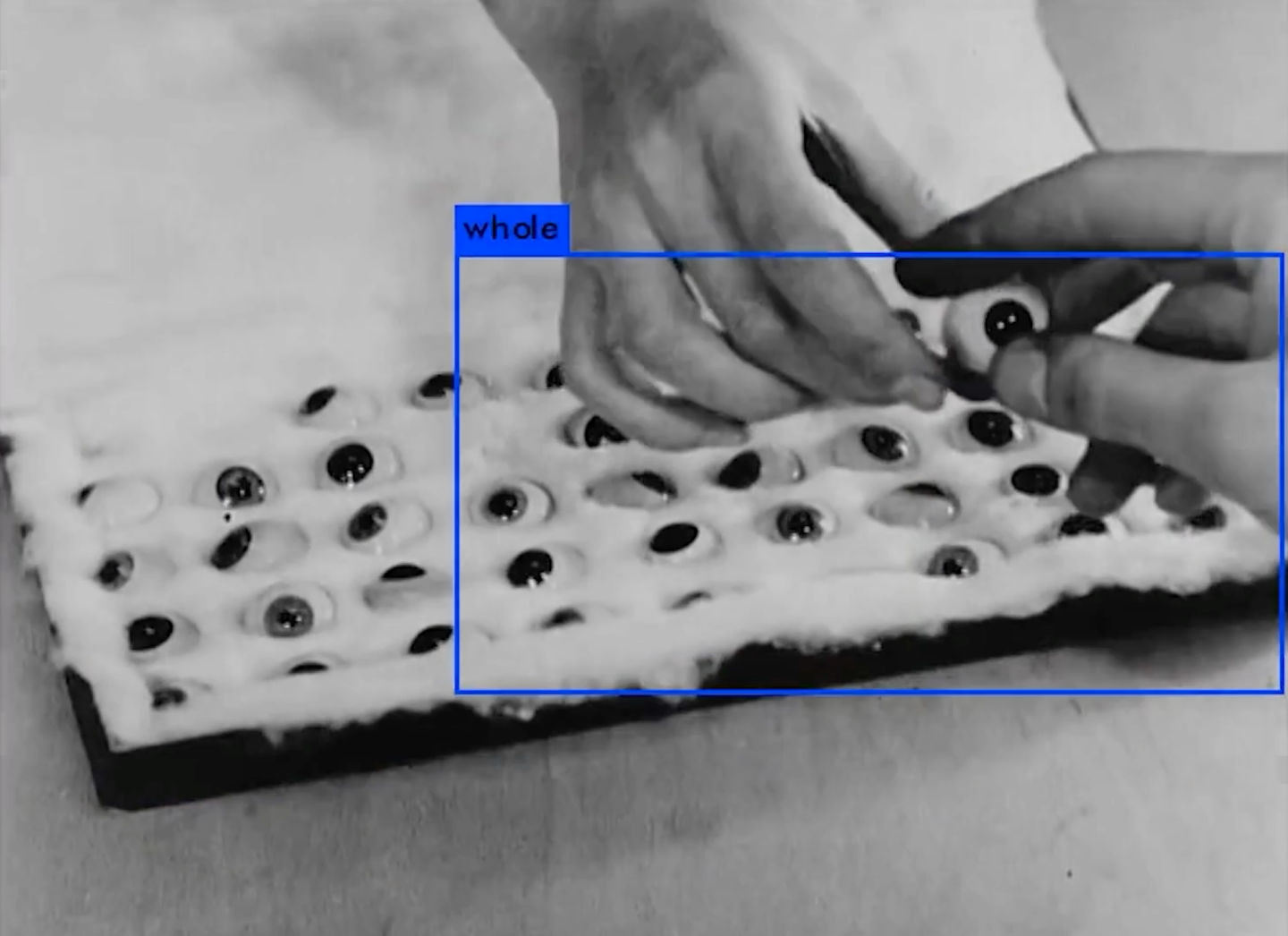 Still from Estampa, What Do You See YOLO9000?, 2019, HD video