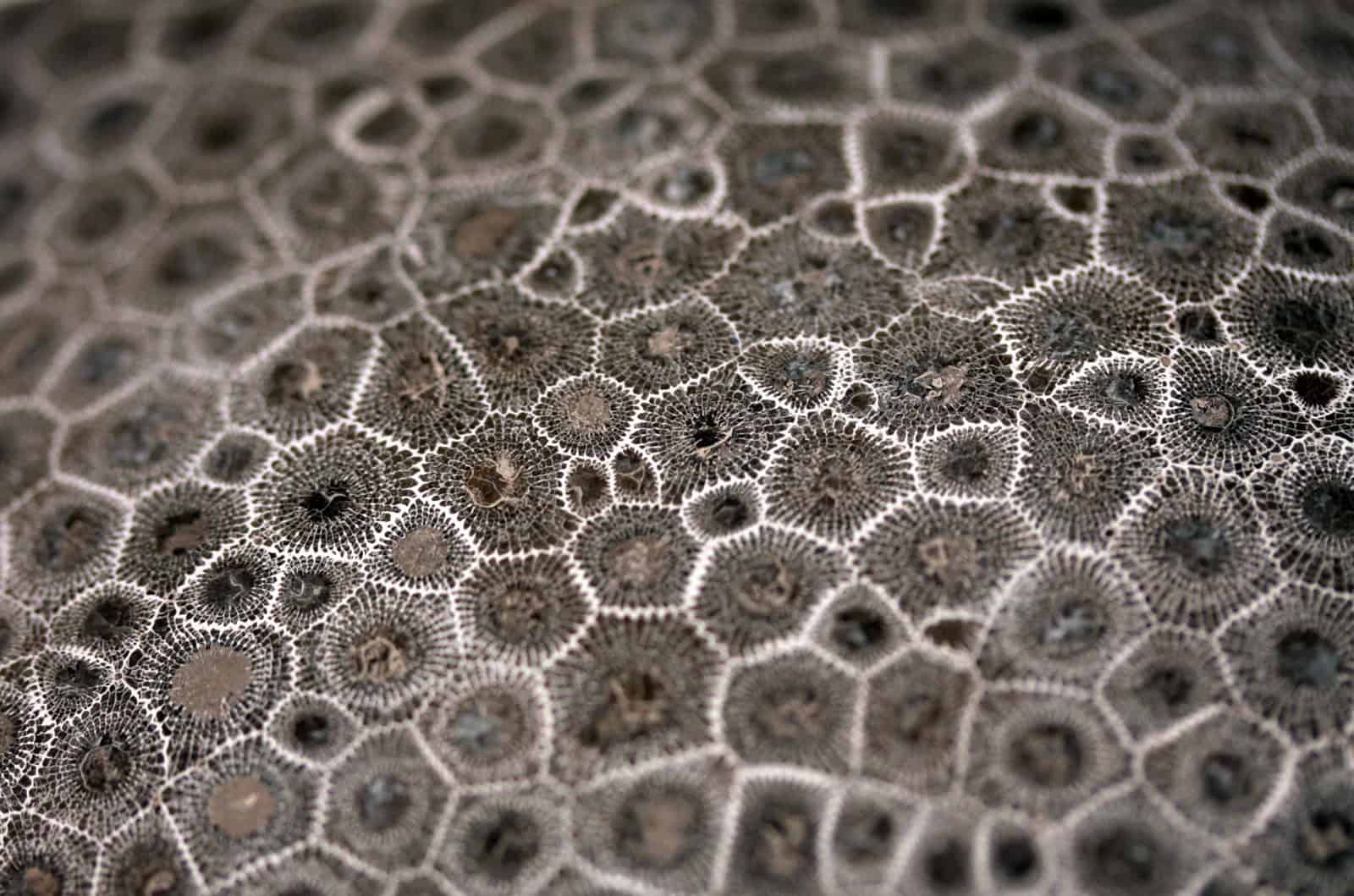 Principles for Critical Research and Artistic Practice